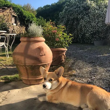 La Noce Di Francesca