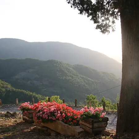 Con Vista Nel Chianti Rufina 农家乐